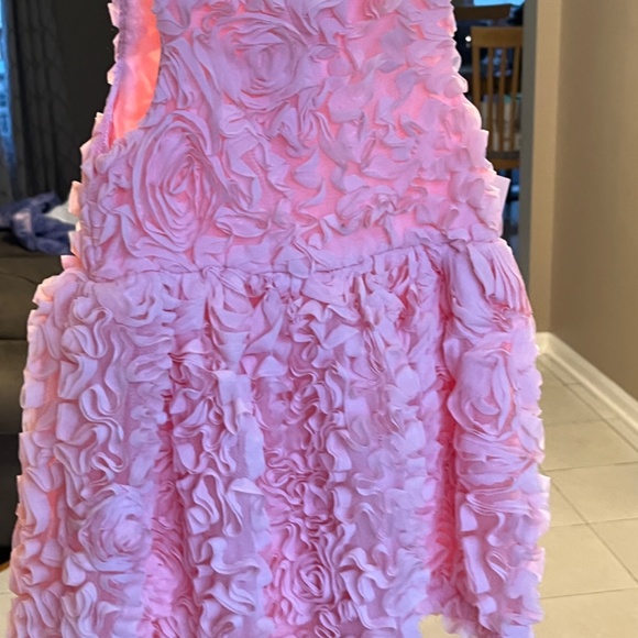 Cat & Jack baby/ little girl rosette dress - Picture 3 of 6